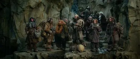 The Hobbit: An Unexpected Journey (2012)