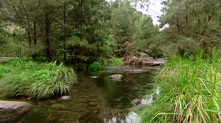 Queenslands Outback (2006)