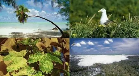 Faszination Natur: Seven Seasons