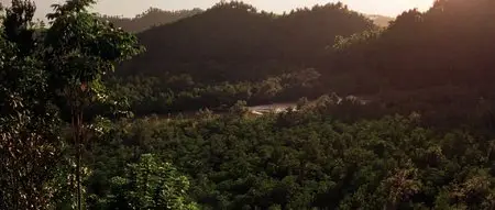 Apocalypse Now (1979)