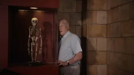 David Attenborough’s Natural History Museum Alive (2013)