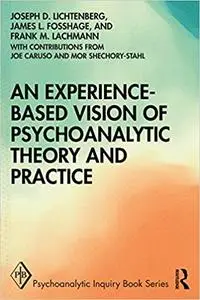 An Experience-based Vision of Psychoanalytic Theory and Practice: Seeking, Feeling, and Relating