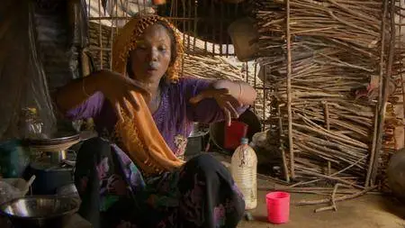 BBC Panorama - Myanmar: The Hidden Truth (2017)