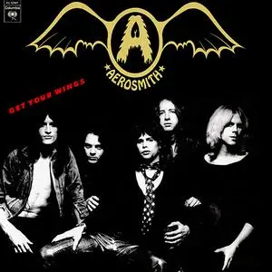 Aerosmith: Discography & Video (1973-2013) [21CDs, 18LPs, 13DVDs, Blu-ray]