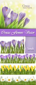 Spring Flowers Vector 4