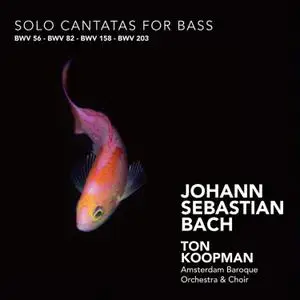 Ton Koopman, Amsterdam Baroque Orchestra - J.S. Bach: Solo Cantatas for Bass (2008)