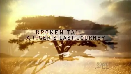 PBS Nature - Broken Tail: A Tiger's Last Journey (2011)