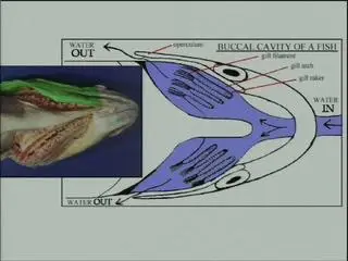 General Biology Laboratory