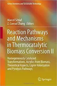 Reaction Pathways and Mechanisms in Thermocatalytic Biomass Conversion II
