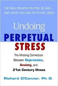 Undoing Perpetual Stress: The Missing Connection Between Depression, Anxiety and 21stCentury Illness (Repost)