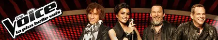 The Voice S04E18