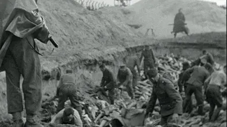 Night Will Fall (2014)
