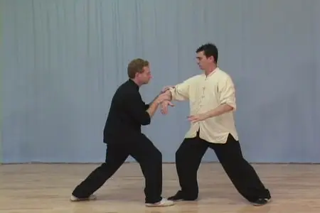 Tai Chi Pushing Hands - Volume Two: Courses 3 & 4