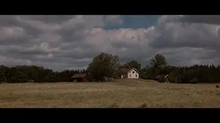 Flickan (2009)