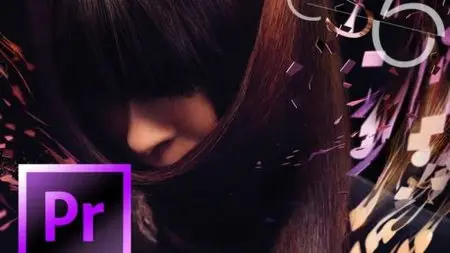 Create Your Own Visual Story Using Adobe Premiere Pro : For Designers & Creative Professionals
