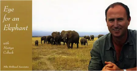 BBC - Eye for an Elephant (2006)