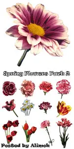 ClipArt - Photo Stock. Spring Flowers Set 2