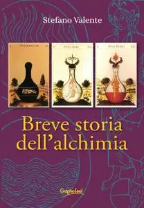 Stefano Valente - Breve storia dell'alchimia