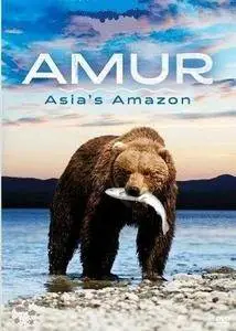National Geographic - Amur: Asia's Amazon Series 1 (2015)