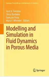 Modelling and Simulation in Fluid Dynamics in Porous Media