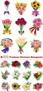 Vectors - Various Flowers Bouquets