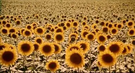 Nuri Bilge Ceylan-Mayıs sıkıntısı ('Clouds of May') (1999)
