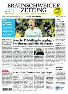 Braunschweiger Zeitung - 23. Januar 2018