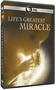 PBS - NOVA: Life's Greatest Miracle (2001)