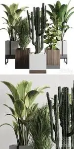 3DSky - Plant box Indoor outdoor plant 163 wooden and concrete dirt vase box pot palm cactus Collection