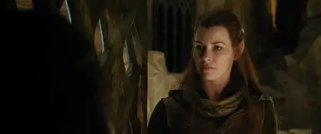 The Hobbit: The Desolation of Smaug (2013)