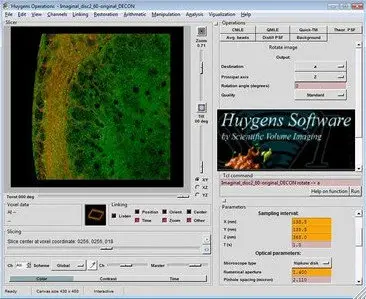 SVI Huygens Pro 4.3.1 P2 (x86/x64)