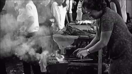 (Fr5) Le feu, ennemi de nos assiettes (2015)