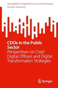 CDOs in the Public Sector