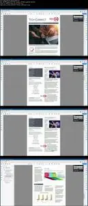 Learn Acrobat DC Essential Step by Step
