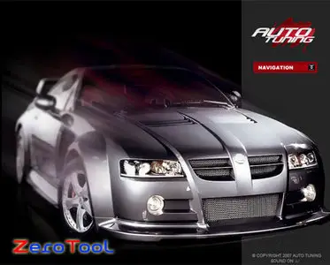 FlashMint 2010 Auto tuning flash template