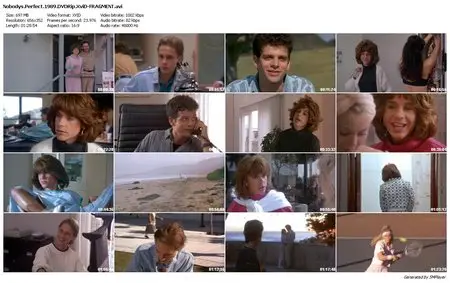 Nobody's Perfect (1990)