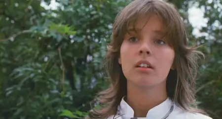 Der Fan (1982)