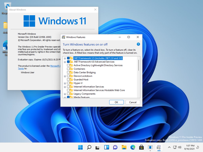 Windows 11 Pro Insider Preview 22H2 Build 22458.1000 (x64) (No TPM Required) Preactivated September 2021