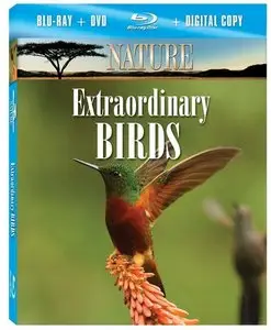 Nature: Extraordinary Birds (2010)