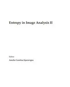 Entropy in Image Analysis II