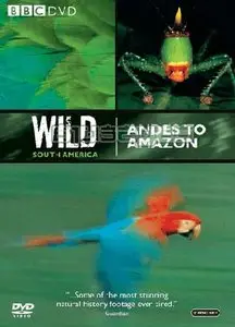 BBC - Wild South America [Included Eng Sub]