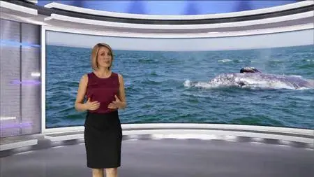 Journey with Dylan Dreyer S02E25