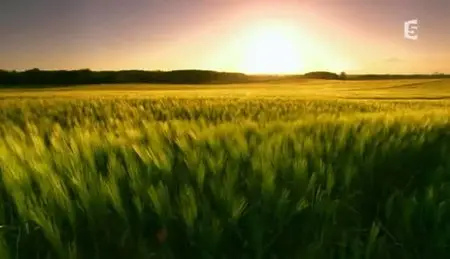 (Fr5) Les trésors de la Baltique (2011)
