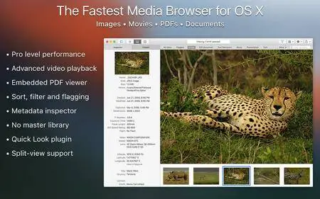 Fileloupe 1.4.2 Mac OS X