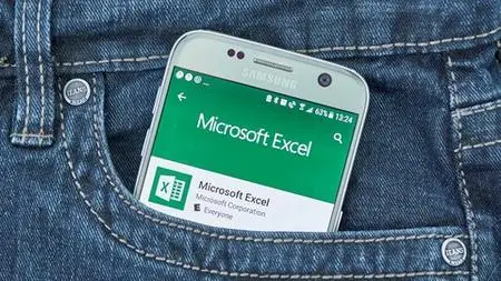 Microsoft Excel Beginners to Advanced, Data Analysis and VBA