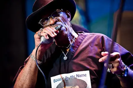 Jerry "Boogie" McCain - American Roots Blues (2002)