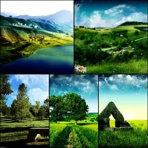 Dellopos Wallpapers