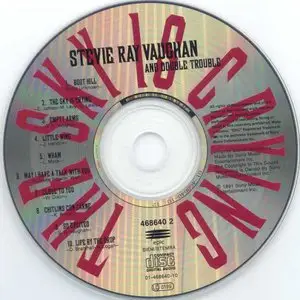 Stevie Ray Vaughan and Double Trouble - The Sky Is Crying (1991)