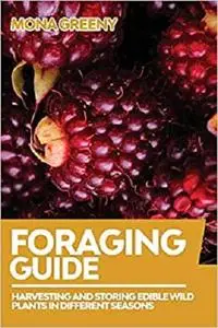 Foraging Guide: Harvesting and Storing Edible Wild Plants in Different Seasons