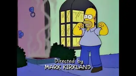 Die Simpsons S06E17